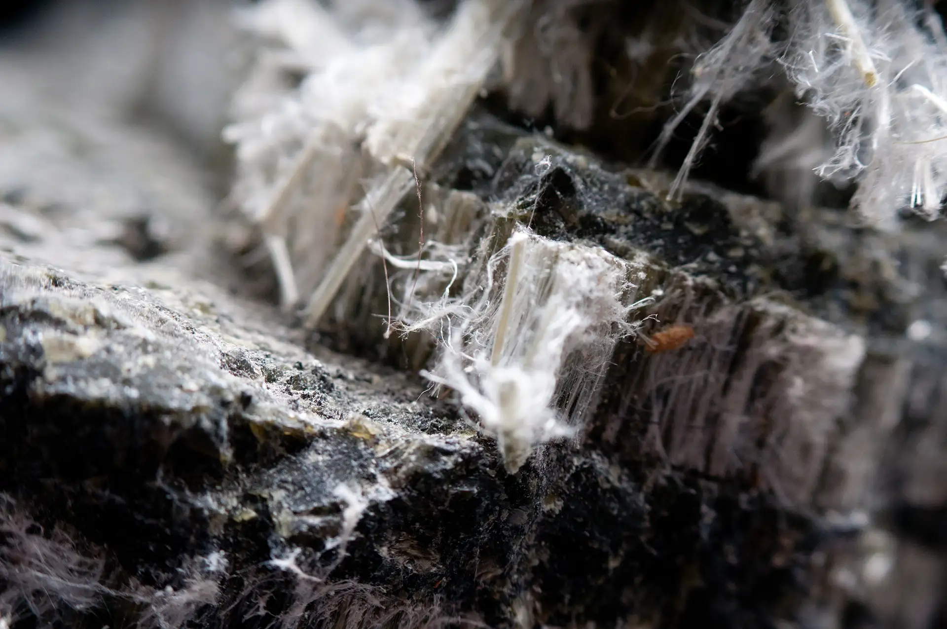 asbestos inspections
