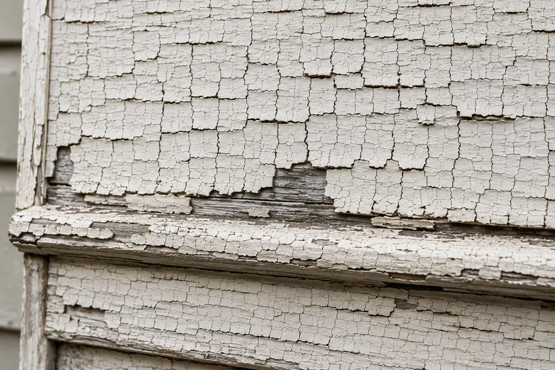 alligator deep lead paint cracking